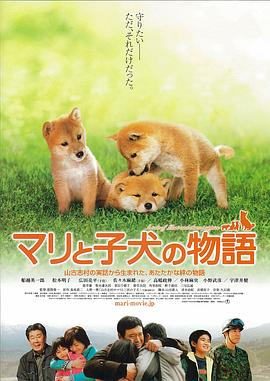 愛(ài)犬的奇跡