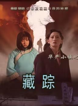 華嚴(yán)小鎮(zhèn)2之藏蹤(全集)