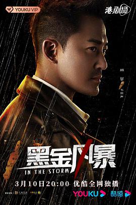 黑金風(fēng)暴國語版(全集)