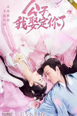 公子，我娶定你了(全集)