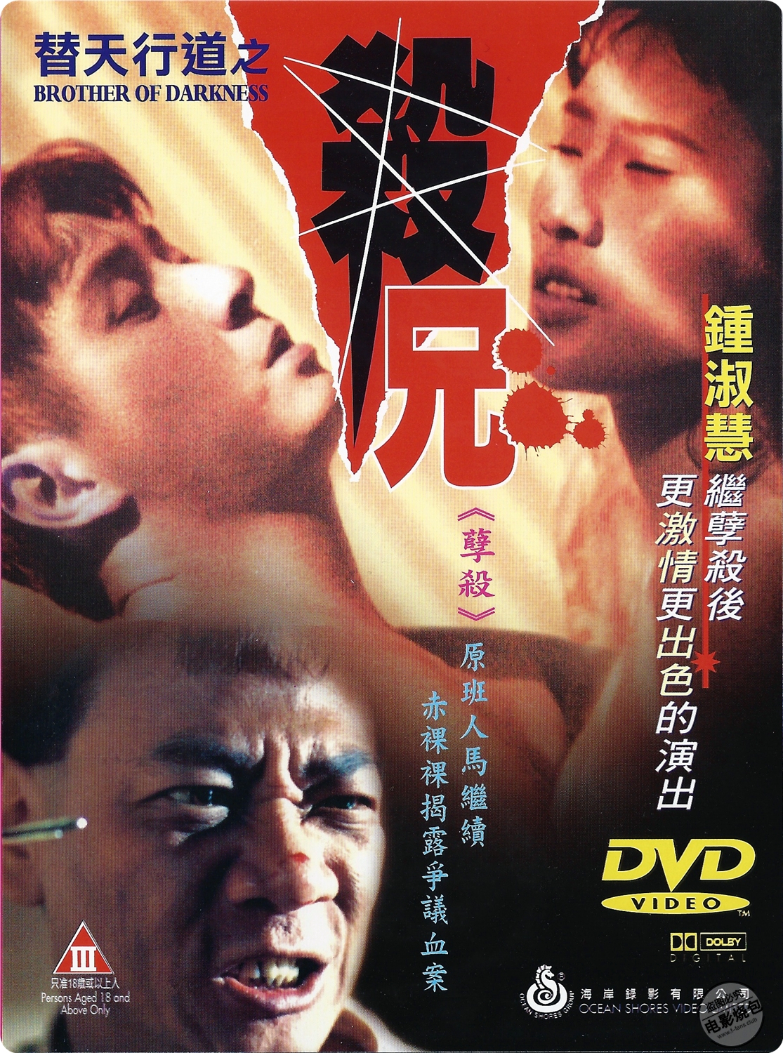 替天行道之殺兄