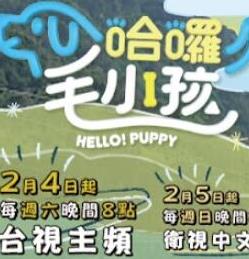 哈啰！毛小孩(全集)