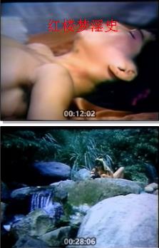 紅樓夢淫史