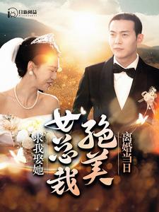 離婚當(dāng)日，絕美女總裁求我娶她(全集)