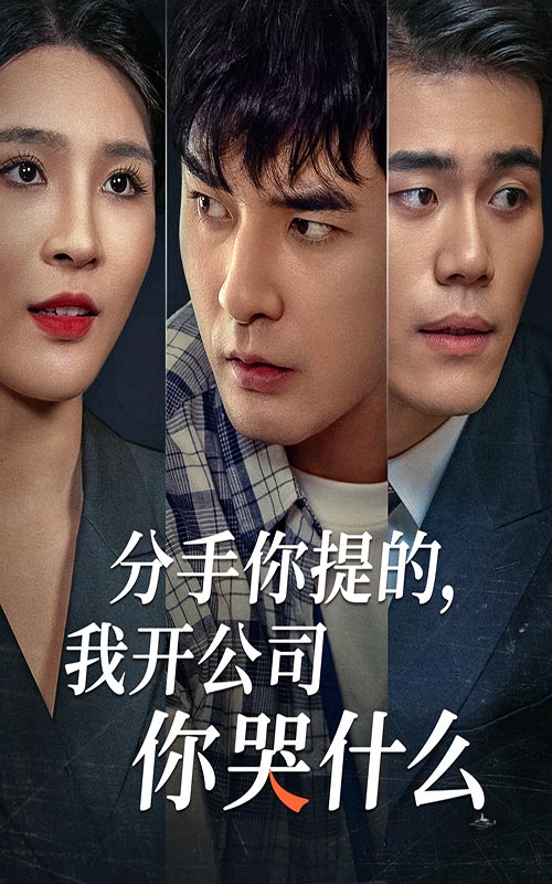 分手你提的，我開公司你哭什么(全集)