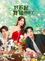 對不起，我磕到你了(全集)