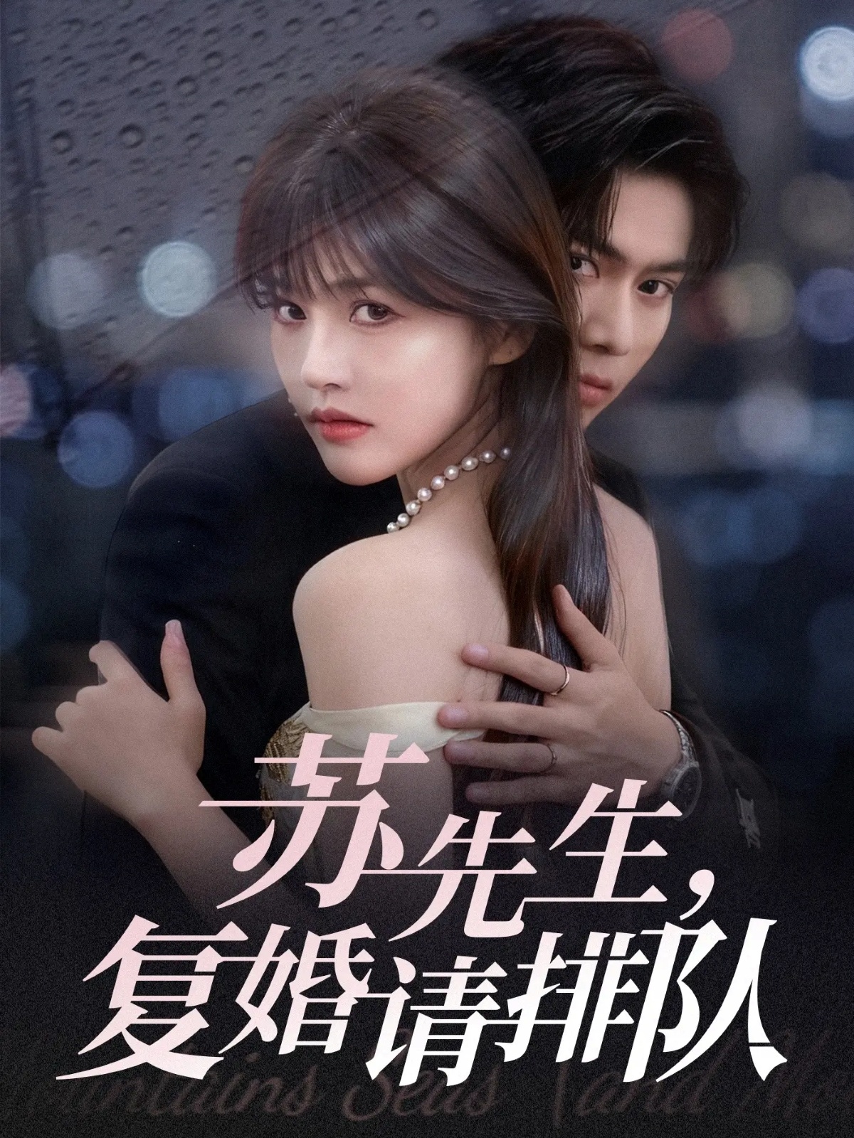 蘇先生，復(fù)婚請排隊(全集)