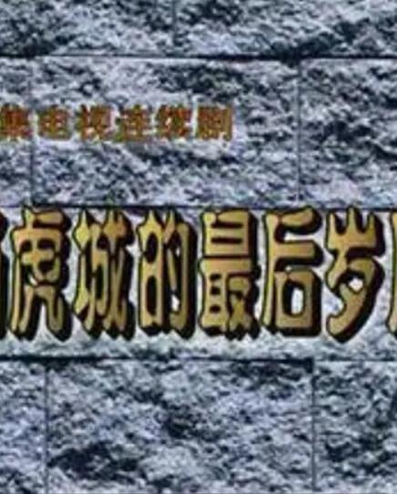 楊虎城的最后歲月(全集)