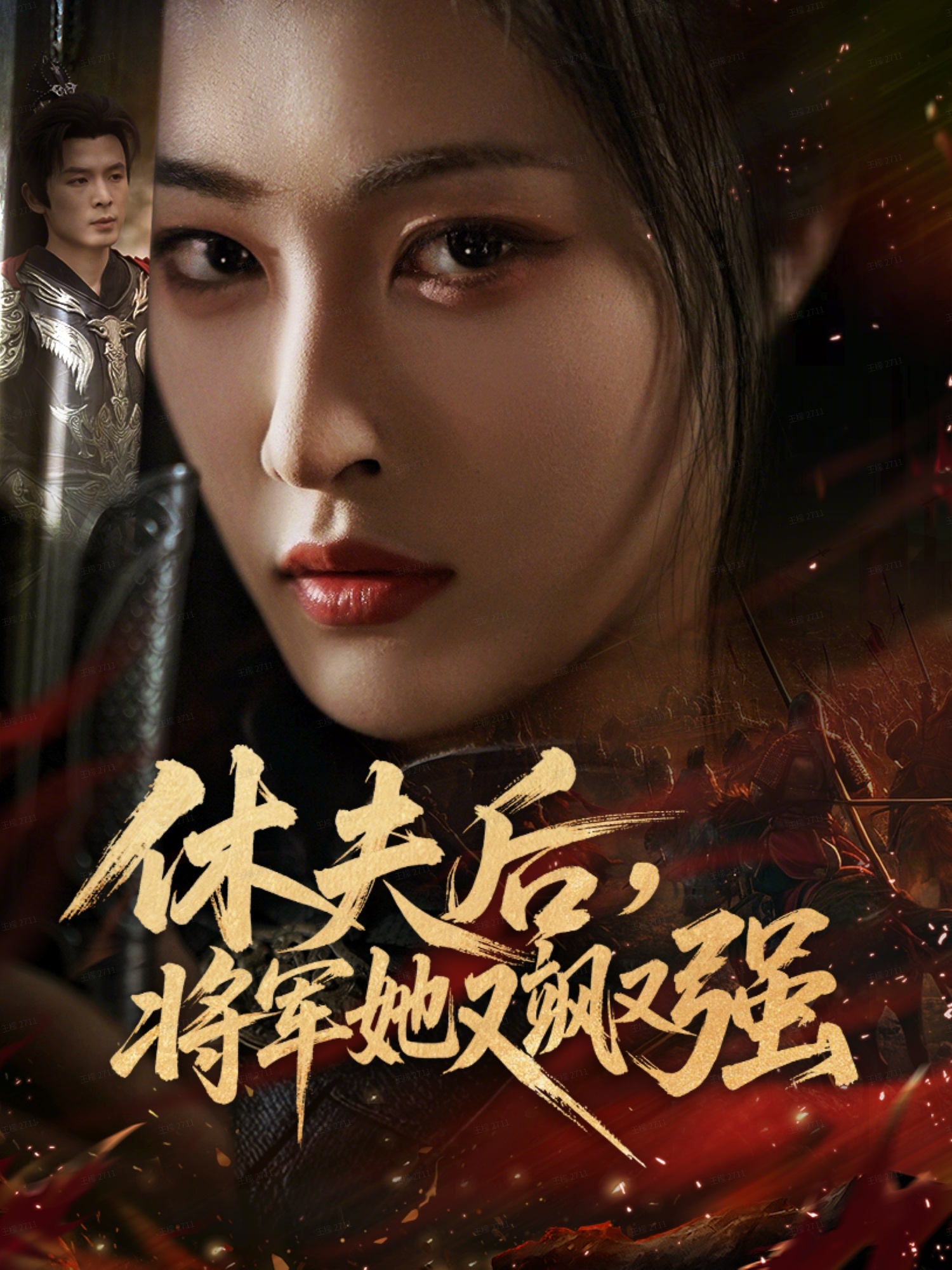 休夫后，將軍她又颯又強(全集)