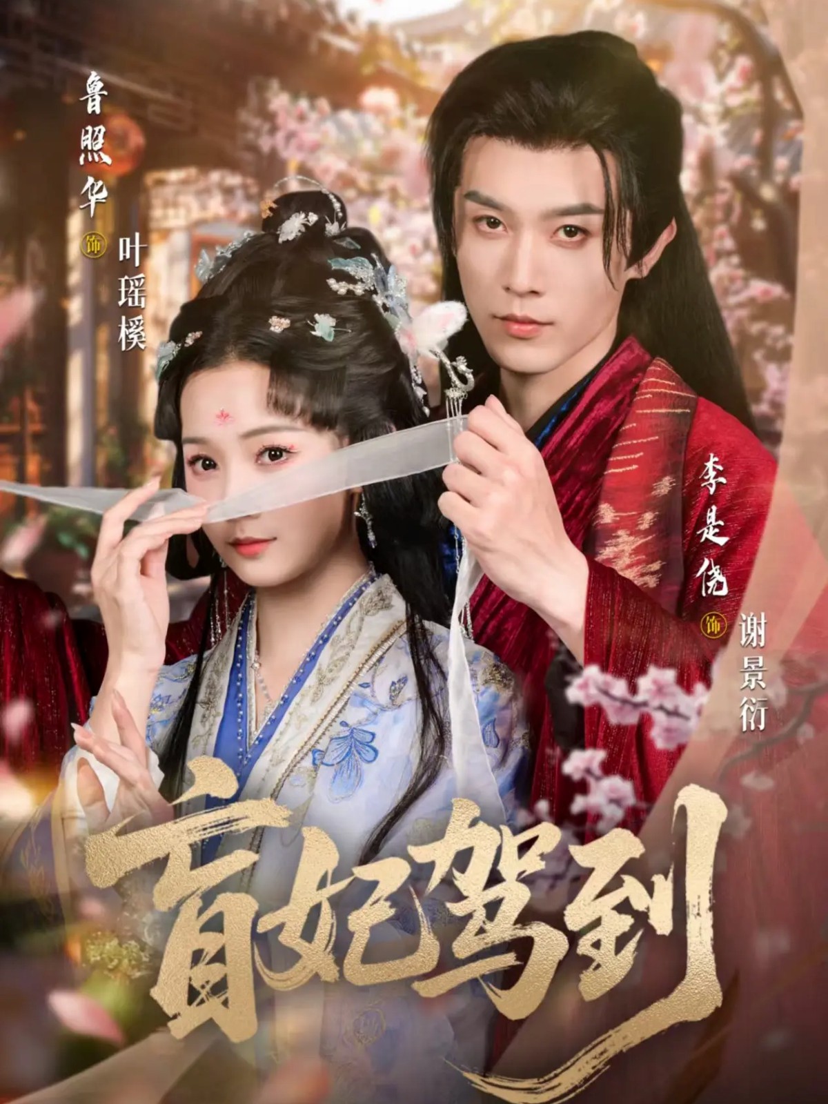 盲妃駕到(全集)